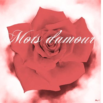  la rose  d'amour